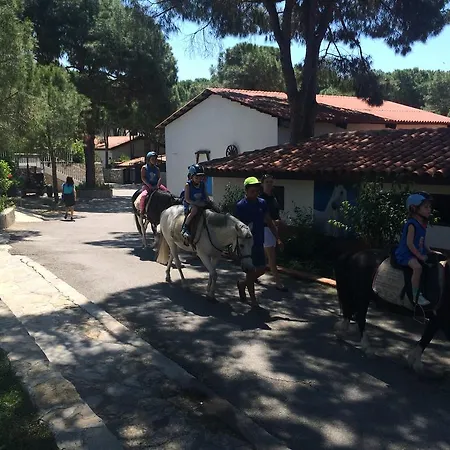 Sealight Best Quality Villas Belek